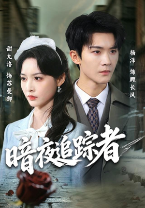 暗夜追踪者（61集）最新热剧免费看