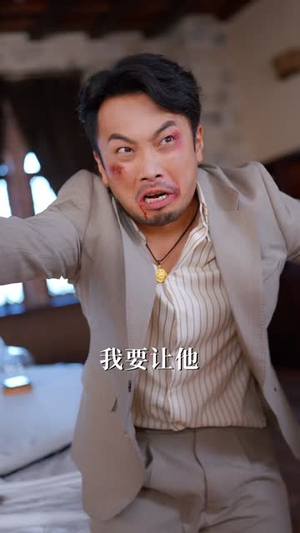 退隐保镖归来，再掀风云（67集）更新时间