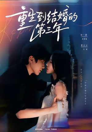 重生到结婚的第三年（73集）短剧精彩绝伦