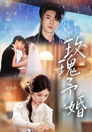 玫瑰予婚(68集) 玫瑰予婚(68集)高分佳作免费看