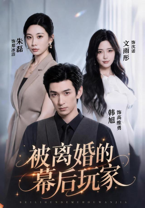 被离婚的幕后玩家(61集) 被离婚的幕后玩家(61集)第一集