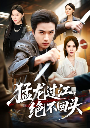 猛龙过江，绝不回头（81集）更新时间