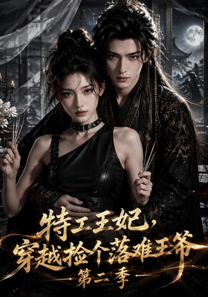 特工王妃，穿越捡个落难王爷第二季（164集）剧情简介