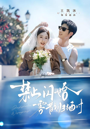 禁止闪婚，雾散归栖时（66集）最后的大结局