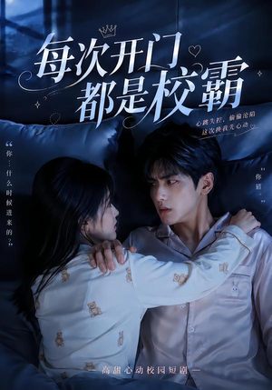 每次开门都是校霸（32集）全集免费看短剧