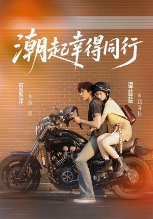 潮起幸得同行（73集）热门短剧抢先