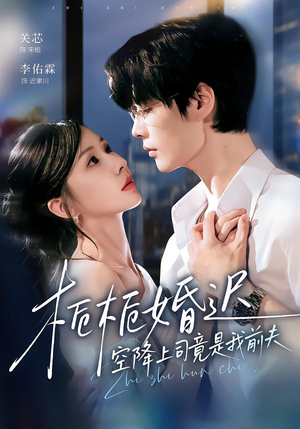 栀栀婚迟，空降上司竟是我前夫（76集）热播古装短剧
