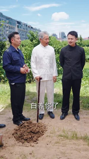 这个相师强的很过分(52集) 这个相师强的很过分(52集)短剧推荐来了