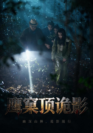 鹰窠顶诡影(60集) 鹰窠顶诡影(60集)口碑之选免费看