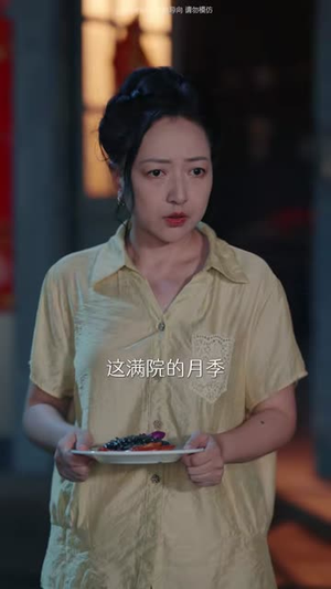 东北婆婆，笑护全家（80集）短剧前十排行榜