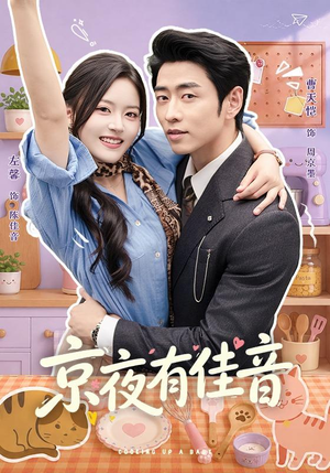 京夜有佳音（68 集）免费观看