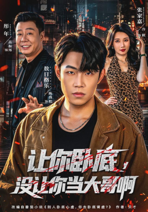让你卧底,没让你当大哥啊(80 集) 让你卧底,没让你当大哥啊(80 集)短剧追不停