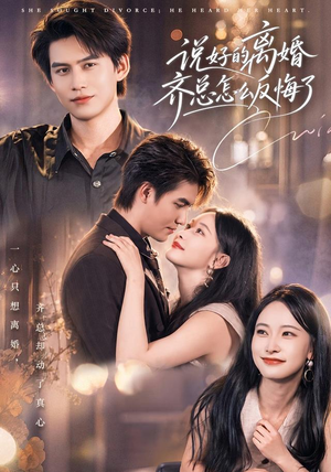说好的离婚齐总怎么反悔了(40 集) 说好的离婚齐总怎么反悔了(40 集)在线看