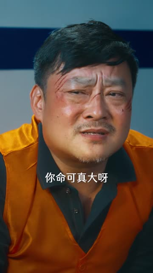 黑白双猫当警长,她破了山村悬案(47 集) 黑白双猫当警长,她破了山村悬案(47 集)大结局一气呵成