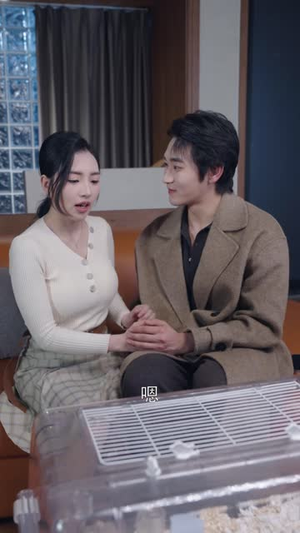 乌龙爱恋进行时(60 集) 乌龙爱恋进行时(60 集)评价怎么样