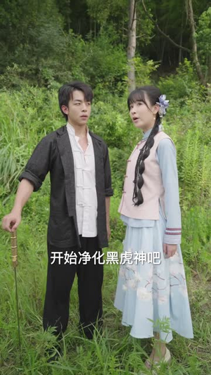 虎祸之阴阳双虎（52 集）网盘在线观看