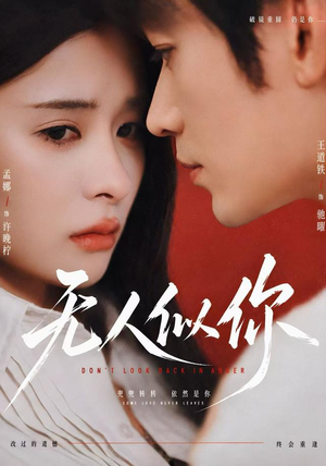 无人似你(70 集) 无人似你(70 集)经典老剧免费看