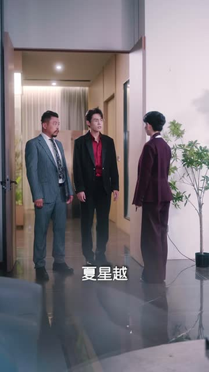 撕开全员骗局后她一路登顶(41 集) 撕开全员骗局后她一路登顶(41 集)大结局在线观看