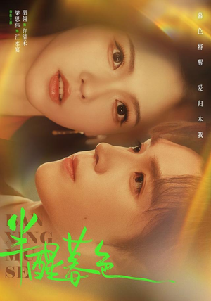 半醒暮色（77 集）偏执男主