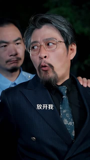 从打工仔到江湖大哥（100 集）爆笑短剧