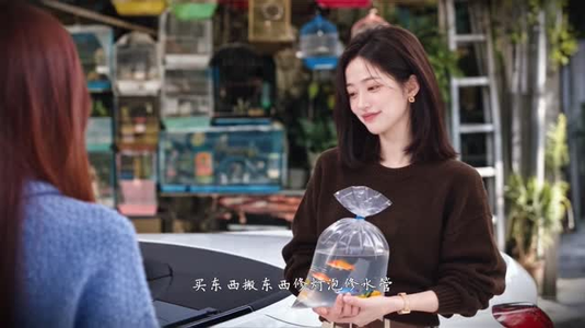 心火沸腾（108集）免费解锁